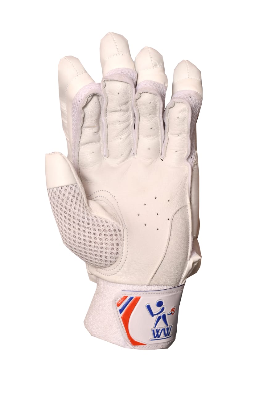 Cricket Batting Gloves