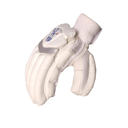 Cricket Batting Gloves