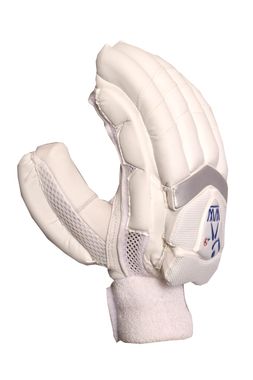 Cricket Batting Gloves