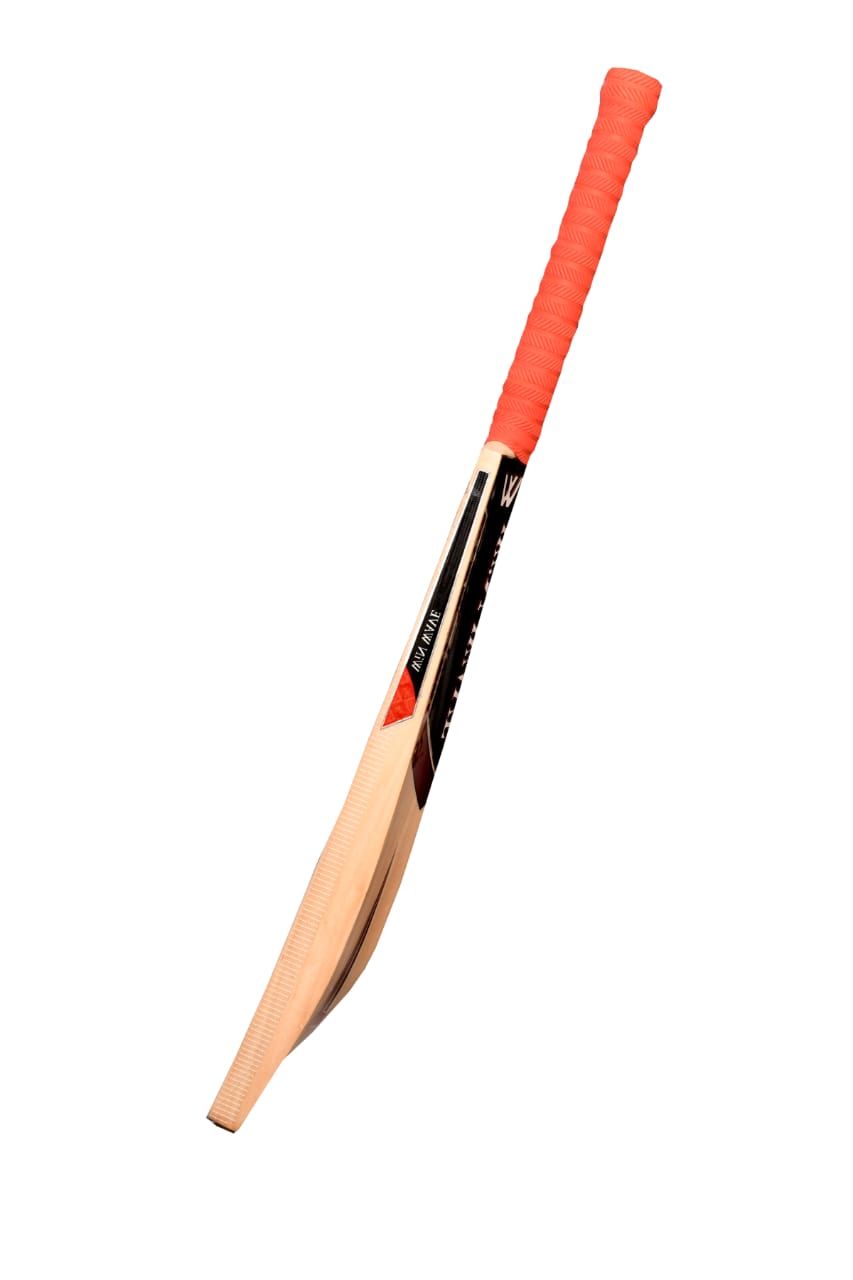 Kashmir Willow Cricket Bat Red - SH