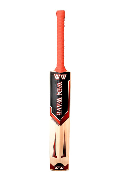 Kashmir Willow Cricket Bat Red - SH