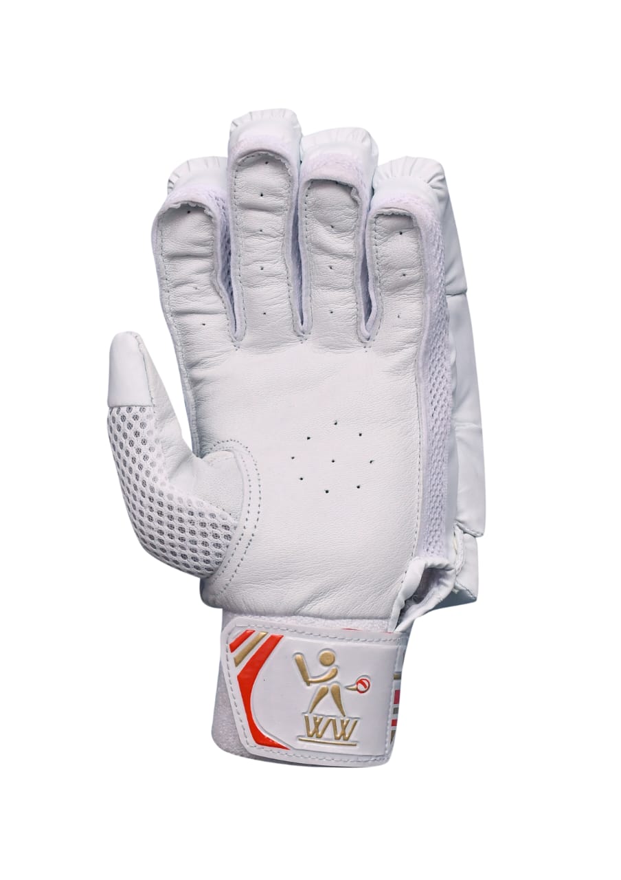 Cricket Batting Gloves