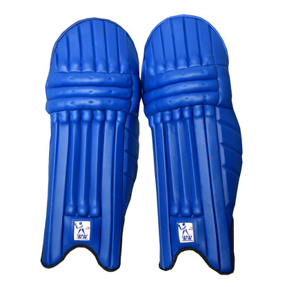 Cricket Kit Bag, Blue Batting Pads, Batting Gloves - RH