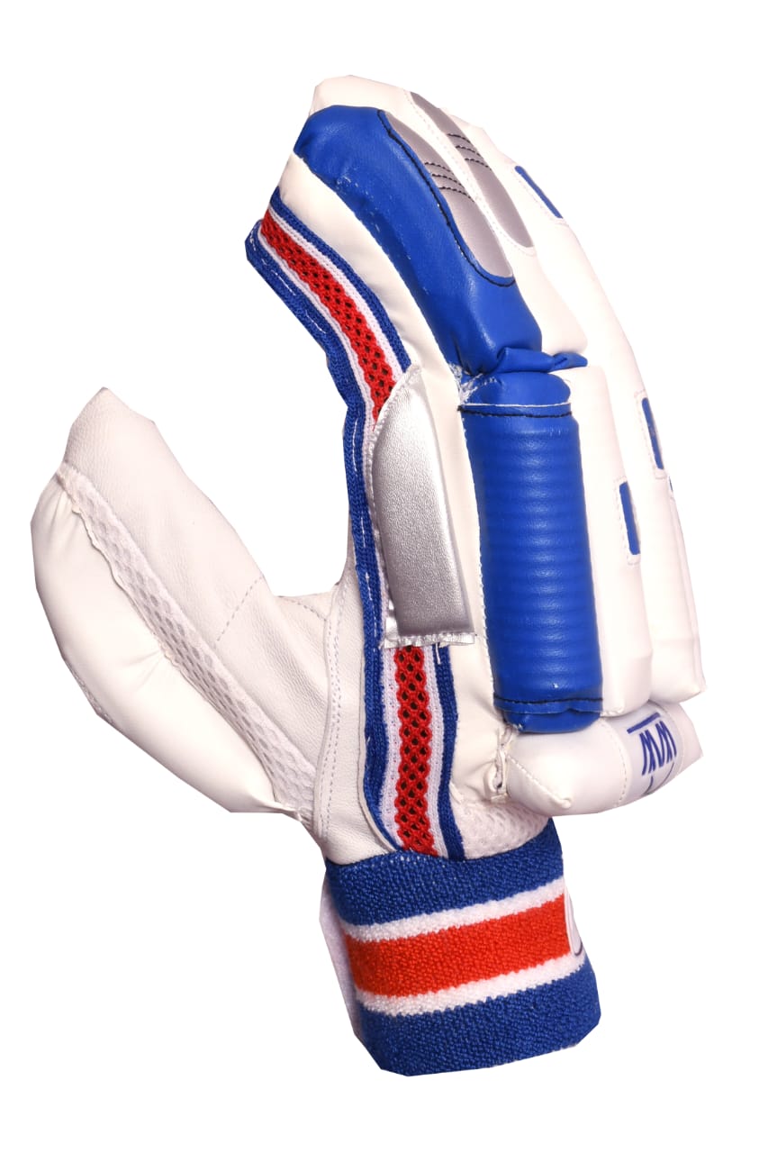 Cricket Batting Gloves