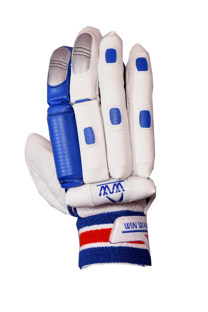 Cricket Batting Gloves